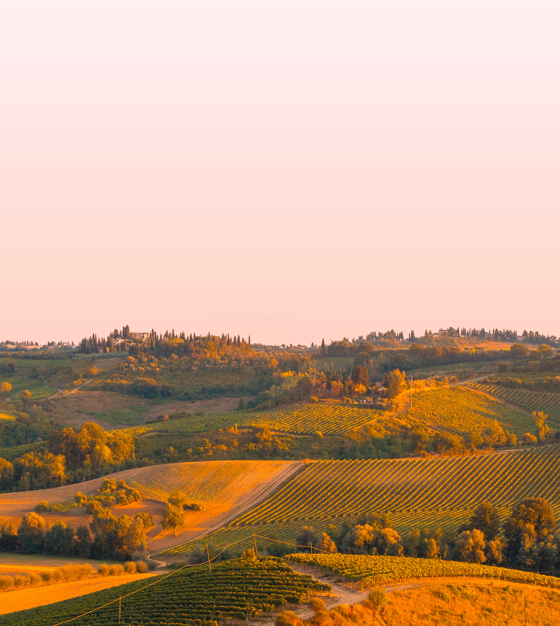 produits-italiens-haut-gamme-bonciani